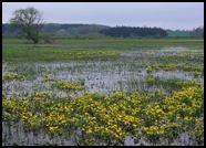 eka Narew - blatouchy kam se podv