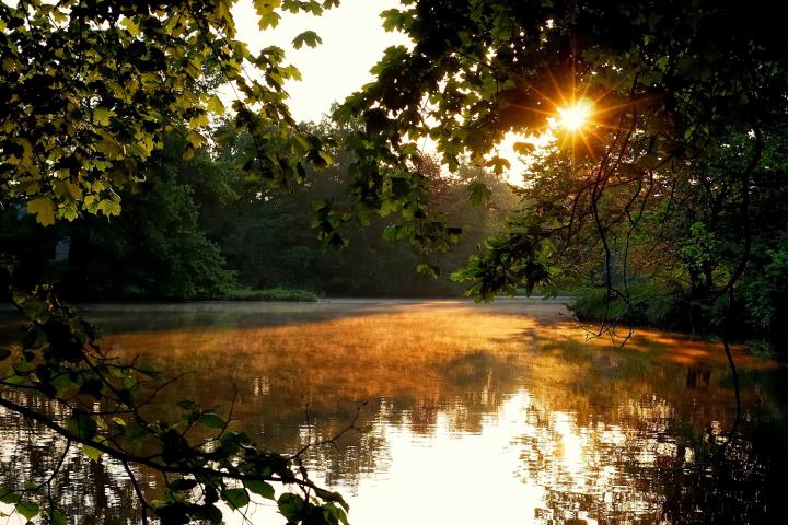 Lednice Ponds (Lednice vivaria)