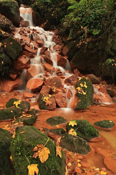Krajinný detail (Orbis Terrarum detail)
