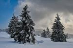 Krajina (Patriam)