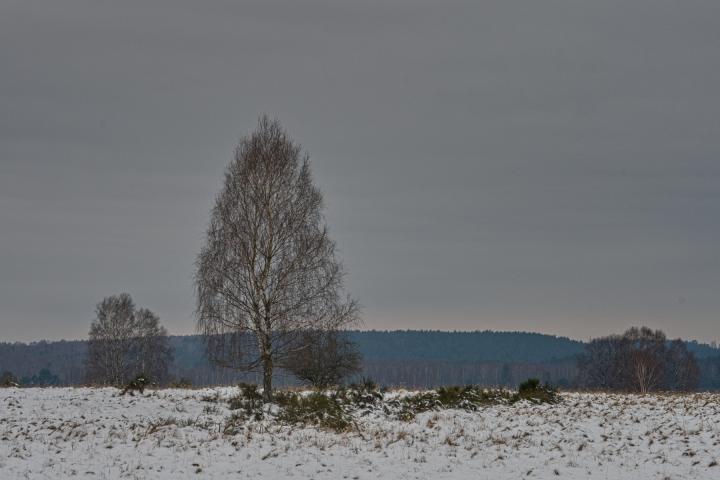Krajina (Patriam)