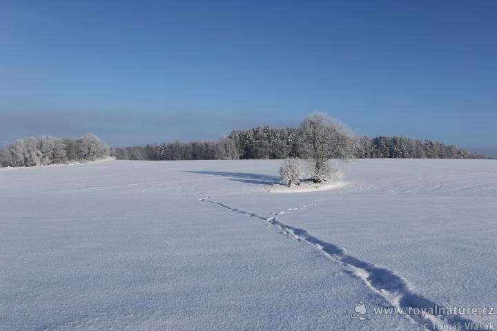Krajina (Patriam)