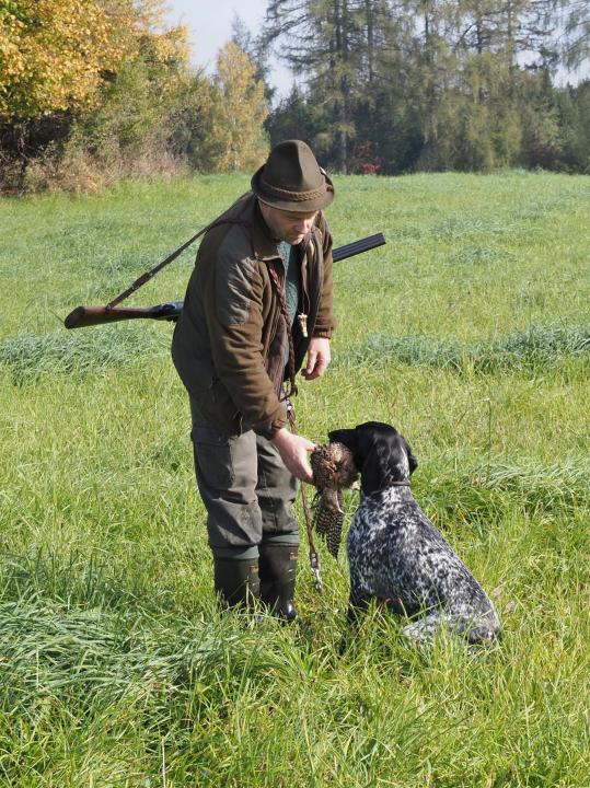 Kynologie (Cynologia)